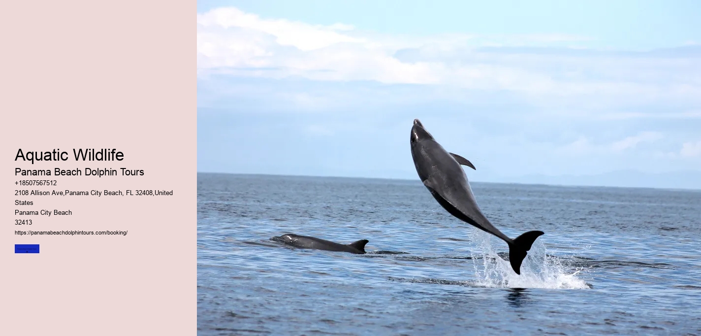 Aquatic Wildlife