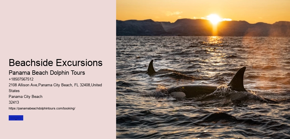Private Boat Tours