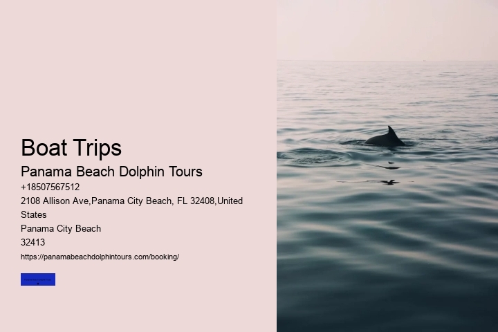 Boat Trips