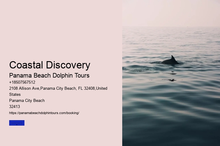 Coastal Discovery