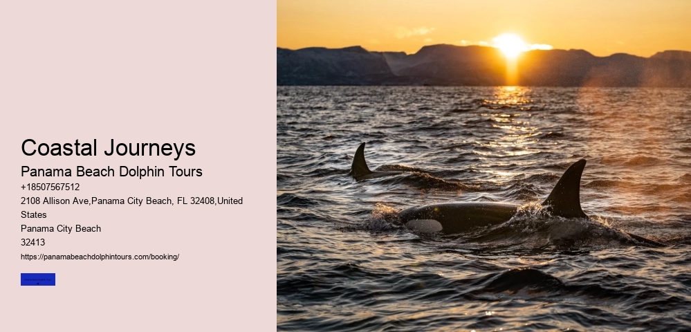 5 Reasons Not To Swim With Dolphins