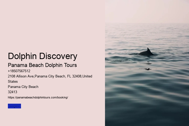 Dolphin Discovery