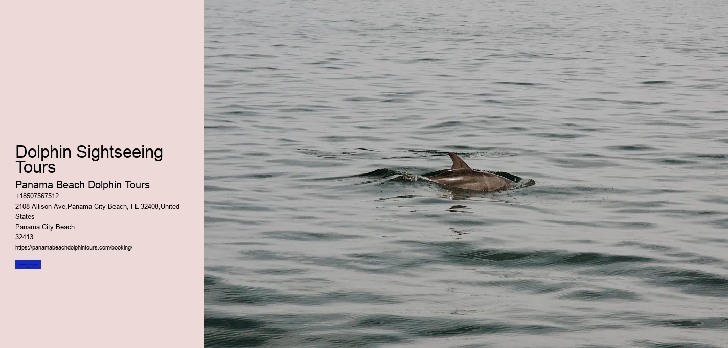 Dolphin Sightseeing Tours