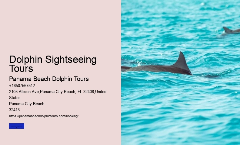 Dolphins Do Not Have The Ability To Detect If Women Are On Their Period