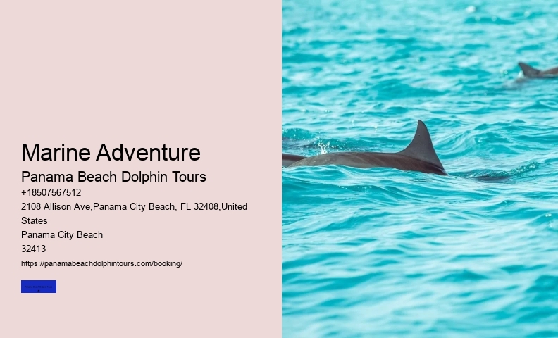 Appreciating Dolphins