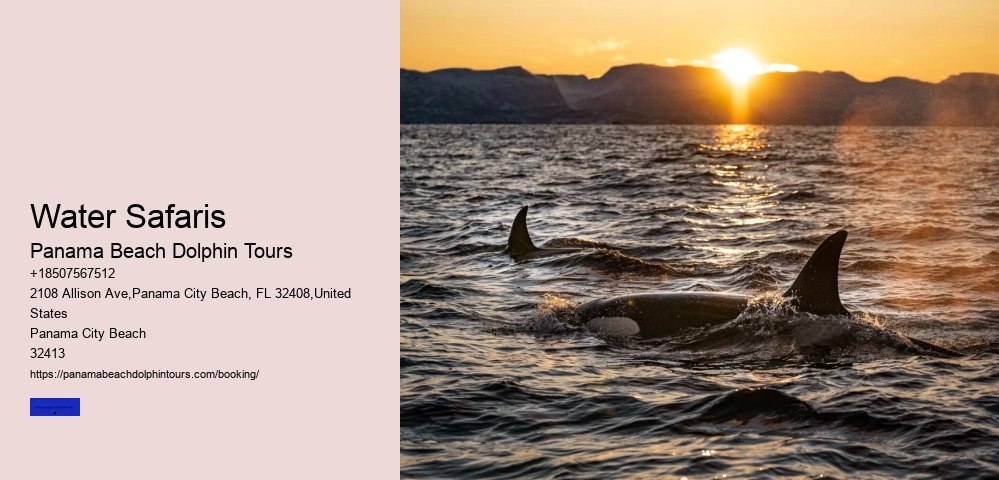 Water Safaris